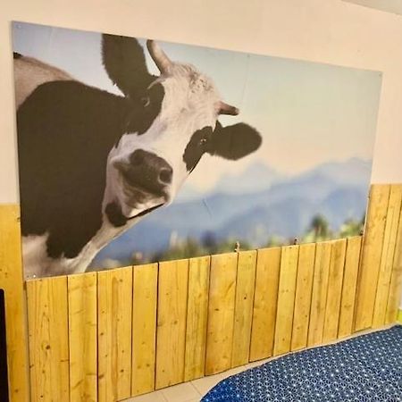 Le Depot Studio Du Petit Port Champvert Eksteriør billede